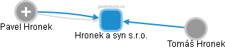 Hronek a syn s.r.o. - náhled vizuálního zobrazení vztahů obchodního rejstříku
