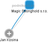 Magic Stronghold s.r.o. - náhled vizuálního zobrazení vztahů obchodního rejstříku