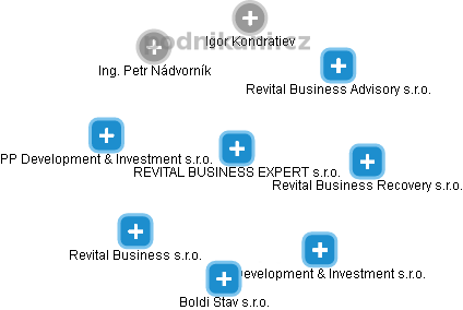 REVITAL BUSINESS EXPERT s.r.o. - náhled vizuálního zobrazení vztahů obchodního rejstříku