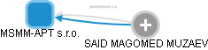 MSMM-APT s.r.o. - náhled vizuálního zobrazení vztahů obchodního rejstříku