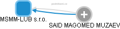 MSMM-LUB s.r.o. - náhled vizuálního zobrazení vztahů obchodního rejstříku