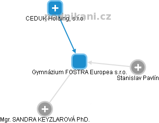 Gymnázium FOSTRA Europea s.r.o. - náhled vizuálního zobrazení vztahů obchodního rejstříku