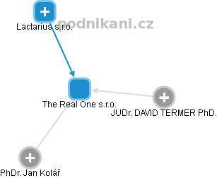 The Real One s.r.o. - náhled vizuálního zobrazení vztahů obchodního rejstříku