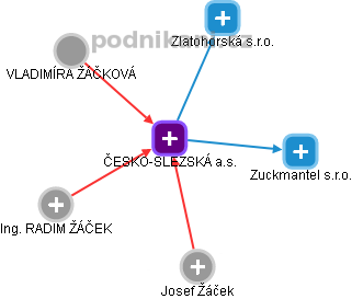 ČESKO-SLEZSKÁ a.s. - náhled vizuálního zobrazení vztahů obchodního rejstříku