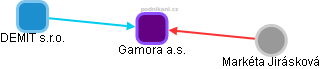 Gamora a.s. - náhled vizuálního zobrazení vztahů obchodního rejstříku
