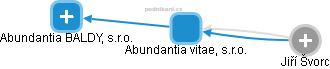 Abundantia vitae, s.r.o. - náhled vizuálního zobrazení vztahů obchodního rejstříku