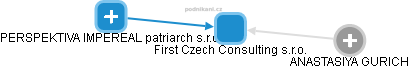 First Czech Consulting s.r.o. - náhled vizuálního zobrazení vztahů obchodního rejstříku