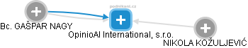 OpinioAI International, s.r.o. - náhled vizuálního zobrazení vztahů obchodního rejstříku