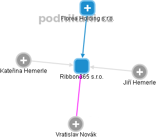 Ribbon365 s.r.o. - náhled vizuálního zobrazení vztahů obchodního rejstříku