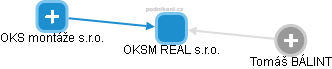 OKSM REAL s.r.o. - náhled vizuálního zobrazení vztahů obchodního rejstříku