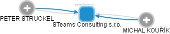 STeams Consulting s.r.o. - náhled vizuálního zobrazení vztahů obchodního rejstříku