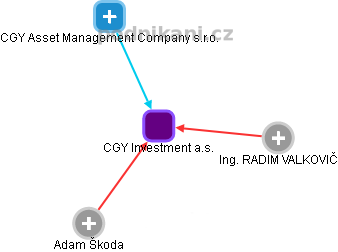 CGY Investment a.s. - náhled vizuálního zobrazení vztahů obchodního rejstříku