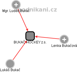 BUKAČ HOCKEY z.s. - náhled vizuálního zobrazení vztahů obchodního rejstříku