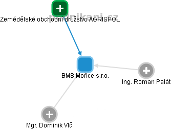BMS Mořice s.r.o. - náhled vizuálního zobrazení vztahů obchodního rejstříku