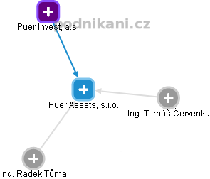 Puer Assets, s.r.o. - náhled vizuálního zobrazení vztahů obchodního rejstříku