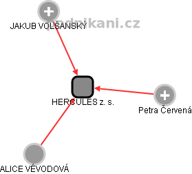 HERCULES z. s. - náhled vizuálního zobrazení vztahů obchodního rejstříku