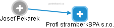 Profi stramberkSPA s.r.o. - náhled vizuálního zobrazení vztahů obchodního rejstříku