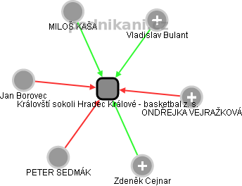 Královští sokoli Hradec Králové - basketbal z. s. - náhled vizuálního zobrazení vztahů obchodního rejstříku