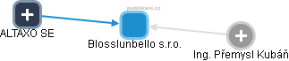 Blosslunbello s.r.o. - náhled vizuálního zobrazení vztahů obchodního rejstříku