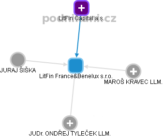 LitFin France&Benelux s.r.o. - náhled vizuálního zobrazení vztahů obchodního rejstříku