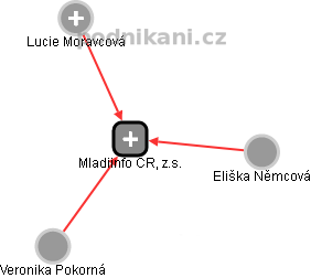 Mladiinfo ČR, z.s. - náhled vizuálního zobrazení vztahů obchodního rejstříku