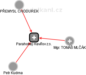 Parahokej Havířov z.s. - náhled vizuálního zobrazení vztahů obchodního rejstříku