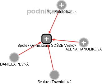 Spolek Gymnázia a SOŠZE Vyškov - náhled vizuálního zobrazení vztahů obchodního rejstříku