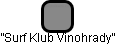 ”Surf Klub Vinohrady” - náhled vizuálního zobrazení vztahů obchodního rejstříku
