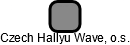 Czech Hallyu Wave, o.s. - náhled vizuálního zobrazení vztahů obchodního rejstříku