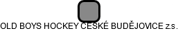 OLD BOYS HOCKEY ČESKÉ BUDĚJOVICE z.s. - náhled vizuálního zobrazení vztahů obchodního rejstříku