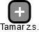 Tamar z.s. - náhled vizuálního zobrazení vztahů obchodního rejstříku