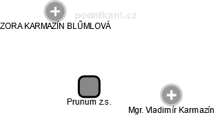 Prunum z.s. - náhled vizuálního zobrazení vztahů obchodního rejstříku