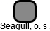Seagull, o. s. - náhled vizuálního zobrazení vztahů obchodního rejstříku