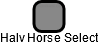 Halv Horse Select - náhled vizuálního zobrazení vztahů obchodního rejstříku