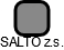 SALTO z.s. - náhled vizuálního zobrazení vztahů obchodního rejstříku