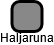 Haljaruna - náhled vizuálního zobrazení vztahů obchodního rejstříku