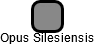 Opus Silesiensis - náhled vizuálního zobrazení vztahů obchodního rejstříku