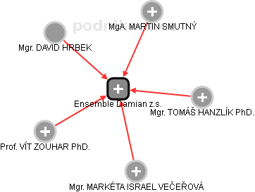 Ensemble Damian z.s. - náhled vizuálního zobrazení vztahů obchodního rejstříku
