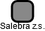 Salebra z.s. - náhled vizuálního zobrazení vztahů obchodního rejstříku
