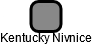 Kentucky Nivnice - náhled vizuálního zobrazení vztahů obchodního rejstříku