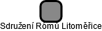 Sdružení Rómů Litoměřice - náhled vizuálního zobrazení vztahů obchodního rejstříku
