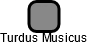 Turdus Musicus - náhled vizuálního zobrazení vztahů obchodního rejstříku