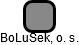 BoLuSek, o. s. - náhled vizuálního zobrazení vztahů obchodního rejstříku