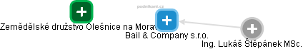 Bail & Company s.r.o. - náhled vizuálního zobrazení vztahů obchodního rejstříku
