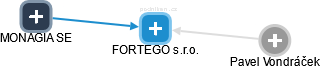 FORTEGO s.r.o. - náhled vizuálního zobrazení vztahů obchodního rejstříku