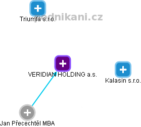 VERIDIAN HOLDING a.s. - náhled vizuálního zobrazení vztahů obchodního rejstříku