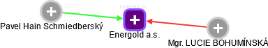 Energold a.s. - náhled vizuálního zobrazení vztahů obchodního rejstříku