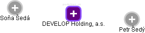 DEVELOP Holding, a.s. - náhled vizuálního zobrazení vztahů obchodního rejstříku