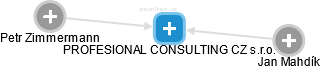 PROFESIONAL CONSULTING CZ s.r.o. - náhled vizuálního zobrazení vztahů obchodního rejstříku