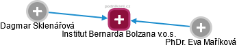 Institut Bernarda Bolzana v.o.s. - náhled vizuálního zobrazení vztahů obchodního rejstříku